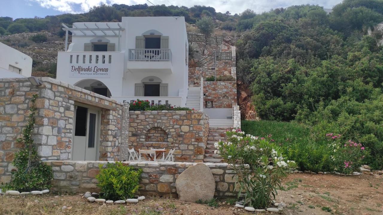 Villa Delfinaki Lionas 外观 照片
